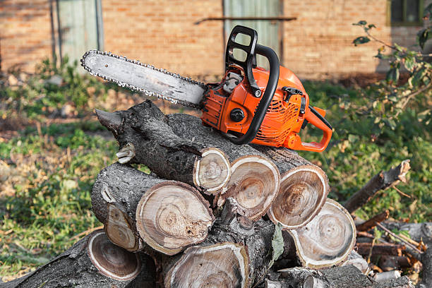 Best Stump Grinding Near Me  in Stewartstown, PA